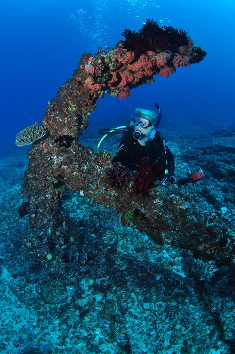 Hutchinson Shoal Dive Site - Accommodation Port Macquarie 1