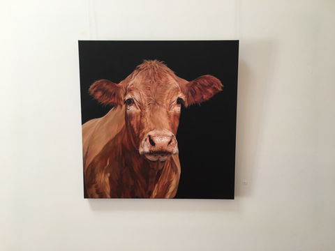 Ivy Hill Gallery - Accommodation Port Macquarie 2