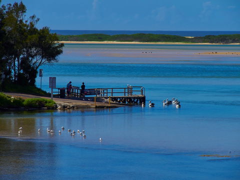 Kayaking Tuross Lake - Accommodation Port Macquarie 1