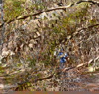 Lyrebird Dell walking track - Accommodation Port Macquarie