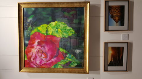 Macleay Valley Community Art Gallery - Accommodation Port Macquarie 0