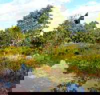 Mansfield Mullum Wetlands - Accommodation Port Macquarie
