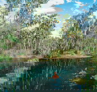 Mataranka - Accommodation Port Macquarie