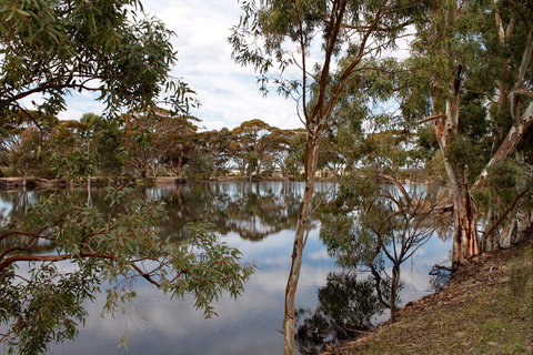 Merredin Railway Dam - Accommodation Port Macquarie 0