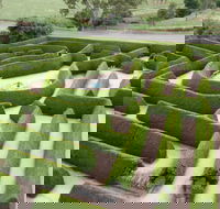Mintaro Maze - Accommodation Port Macquarie