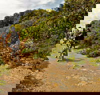 Mountain Biking Trails - Accommodation Port Macquarie