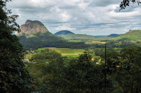Mount Ngungun Summit Walking Track, Glass House Mountains National Park - Accommodation Port Macquarie 1
