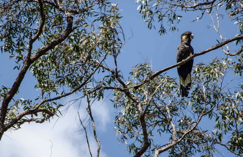 Mummel Gulf National Park - Accommodation Port Macquarie 0