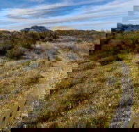 Murramarang Aboriginal Area Walking Track - Accommodation Port Macquarie