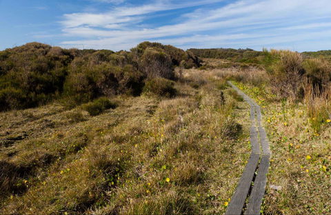 Murramarang Aboriginal Area Walking Track - Accommodation Port Macquarie 0