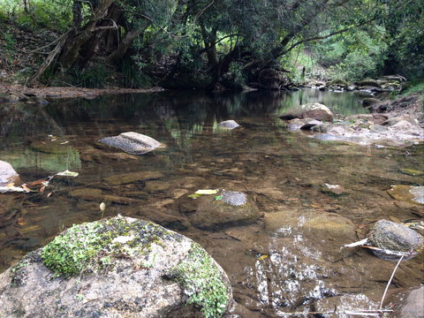 Otford Farm Horse Riding - Accommodation Port Macquarie 2