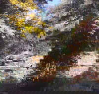 Pheasants Nest - Accommodation Port Macquarie