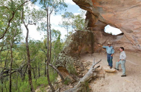 Pilliga National Park - Accommodation Port Macquarie 0