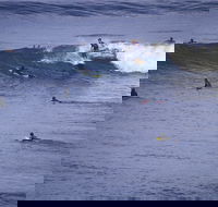 Point Addis Marine National Park - Accommodation Port Macquarie