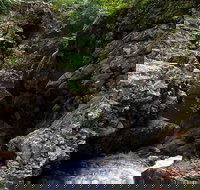 Potoroo Falls walk - Accommodation Port Macquarie