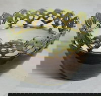 Pottery at Old Toolijooa School - Accommodation Port Macquarie