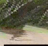 Riverview walking track - Accommodation Port Macquarie