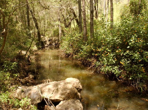 Sandy Creek Track - Accommodation Port Macquarie 0