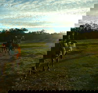 Scenic NSW Horse Riding Centre - Accommodation Port Macquarie