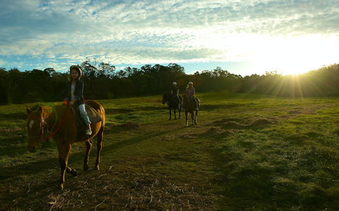 Scenic NSW Horse Riding Centre - Accommodation Port Macquarie 0