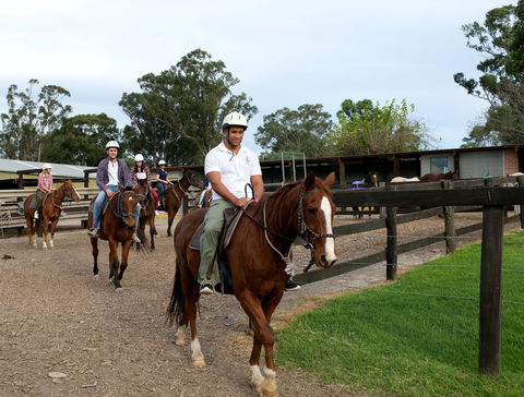 Scenic NSW Horse Riding Centre - Accommodation Port Macquarie 1
