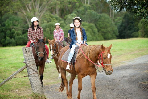 Scenic NSW Horse Riding Centre - Accommodation Port Macquarie 2
