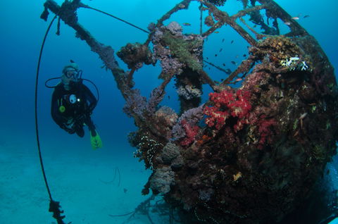 Severance Shipwreck Dive Site - Accommodation Port Macquarie 0