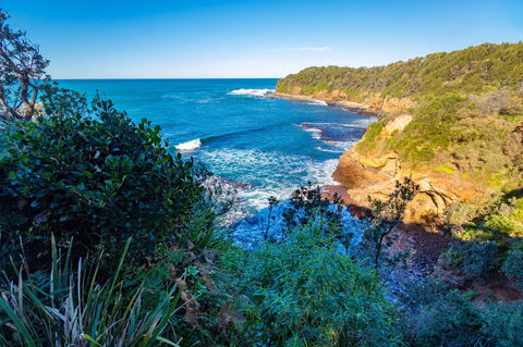 Shellgrit Beach (Red Head) - Accommodation Port Macquarie 0