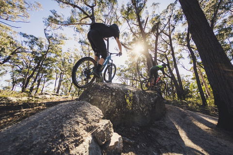 St Helens Mountain Bike Trails - Accommodation Port Macquarie 1