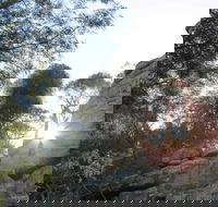 Store Creek Picnic Area - Accommodation Port Macquarie