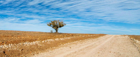Sturts Steps Touring Route - Accommodation Port Macquarie 0