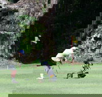 Teven Valley Golf Course - Accommodation Port Macquarie