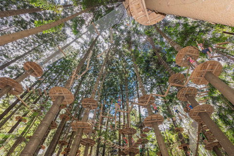 TreeTops Sydney The Hills - Accommodation Port Macquarie 1