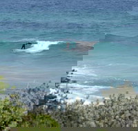 Trigg Island Beach - Accommodation Port Macquarie