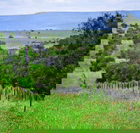 Wild Dog Barrier Fence - Accommodation Port Macquarie