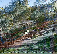 Falcon Falls walking track - Accommodation Port Macquarie