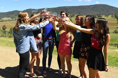 Hunter Valley Wine Tour Ex Newcastle Incl Lunch, Cheese, Chocolate & Distillery - Accommodation Port Macquarie 10