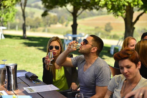 Hunter Valley Wine Tour Ex Newcastle Incl Lunch, Cheese, Chocolate & Distillery - Accommodation Port Macquarie 0