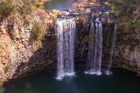 Rainforest & Waterfall Experience - Accommodation Port Macquarie 1