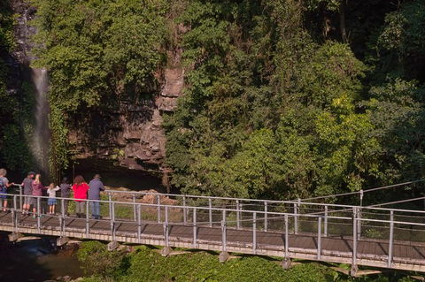 Rainforest & Waterfall Experience - Accommodation Port Macquarie 4