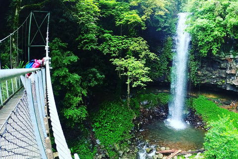 Rainforest & Waterfall Experience - Accommodation Port Macquarie 0