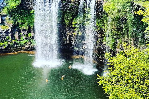 Rainforest & Waterfall Experience - Accommodation Port Macquarie 2