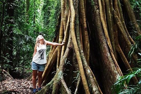 Rainforest & Waterfall Experience - Accommodation Port Macquarie 3