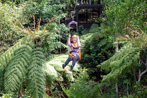 Illawarra Fly Treetop Adventures Treetop Walk Admission Ticket - Accommodation Port Macquarie 2