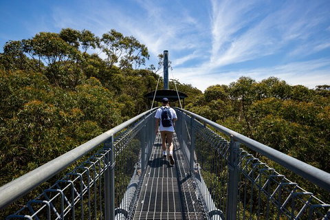 Illawarra Fly Treetop Adventures Treetop Walk Admission Ticket - Accommodation Port Macquarie 0