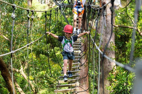 Illawarra Fly Treetop Adventures Treetop Walk Admission Ticket - Accommodation Port Macquarie 3
