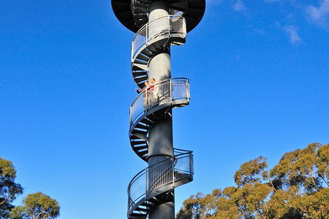 Illawarra Fly Treetop Adventures Treetop Walk Admission Ticket - Accommodation Port Macquarie 5