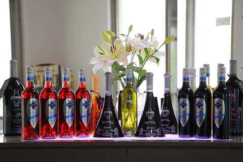 Ivanhoe Wines: Trip Advisor Seated Wine Tasting Masterclass - Accommodation Port Macquarie 8