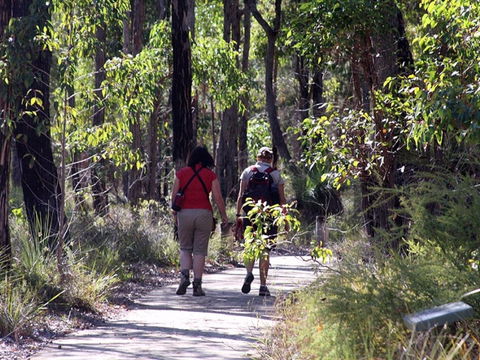 Forest Path, Crooked Brook - Accommodation Port Macquarie 0