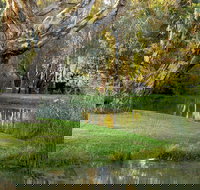 Gateway Island Parklands - Accommodation Port Macquarie